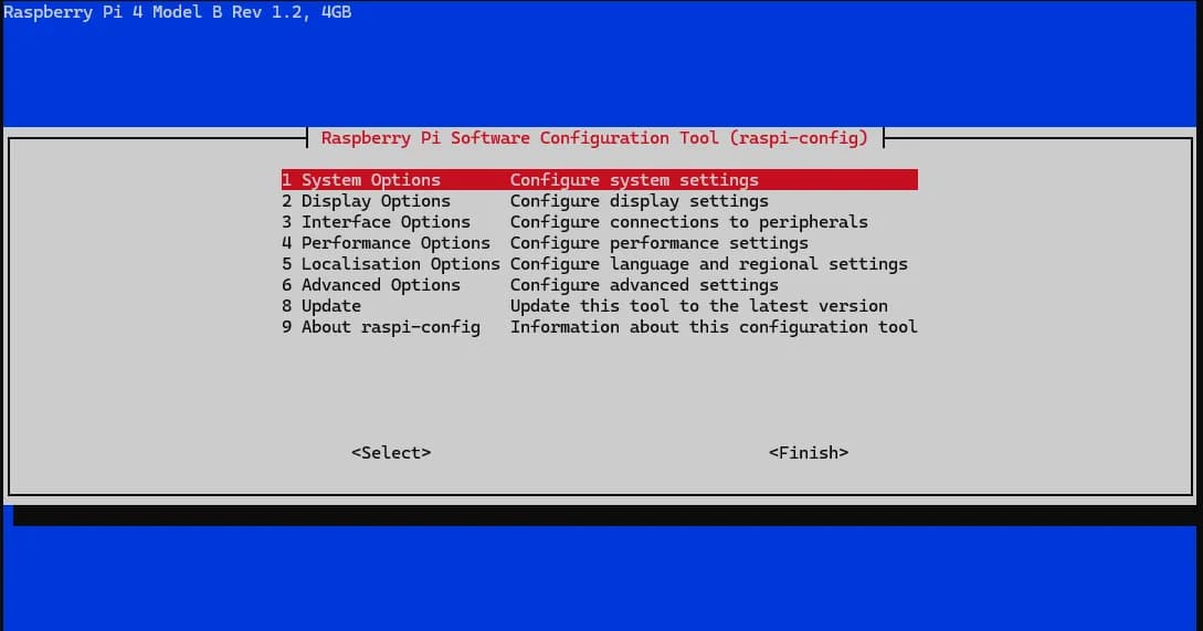 Navigating to Interface Options in raspi-config